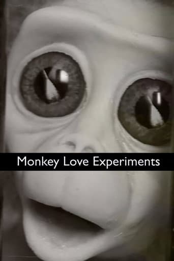 Monkey Love Experiments poster