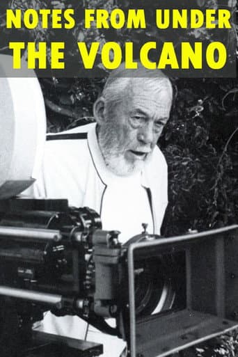 Notes from Under the Volcano poster