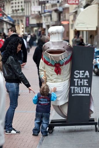 Sea the Truth poster