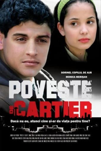 District Story poster