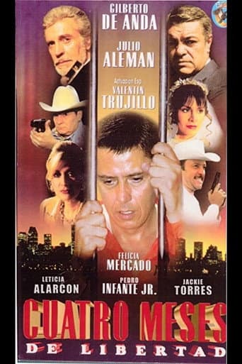 Cuatro meses de libertad poster
