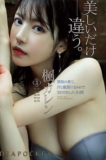 Finally Getting To Fuck After A Long Dry Spell - Drenched In Sweat And Pussy Juice For Three Days Karen Kaede poster