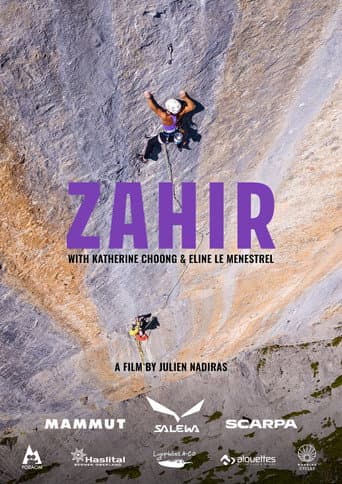 Zahir poster