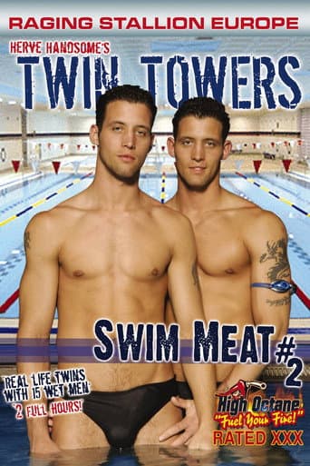 Swim Meat 2: Twin Towers poster