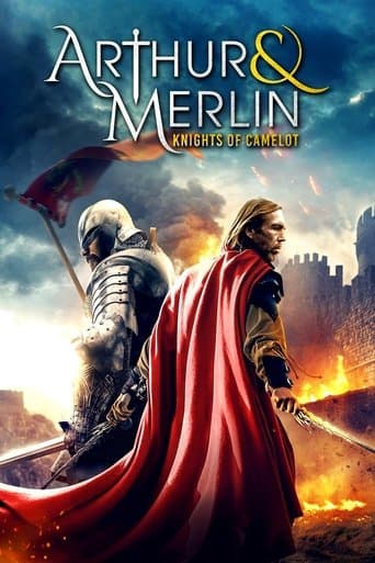Arthur & Merlin: Knights of Camelot poster