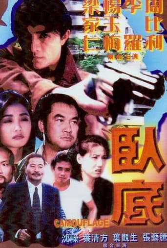 Camouflage poster