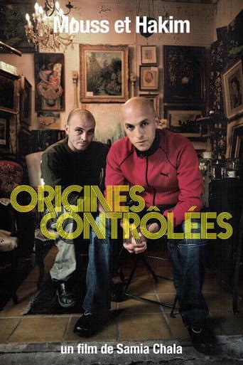Mouss et Hakim,  controled origins poster