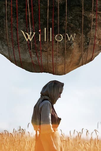 Willow poster