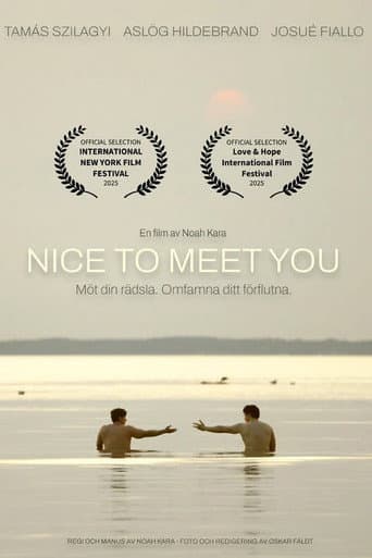 Nice to Meet You poster