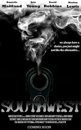 Southwest poster