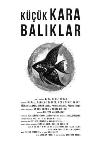 Little Black Fishes poster