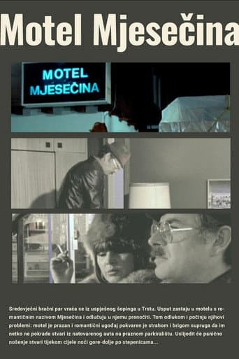 Motel Moonlight poster