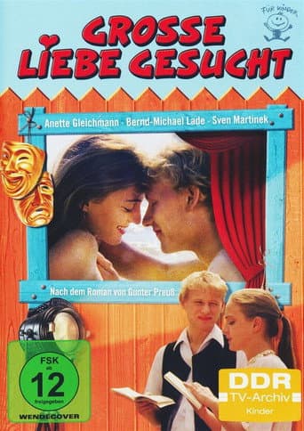 Große Liebe gesucht poster