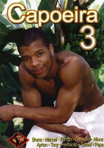 Capoeira 3 poster