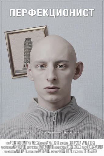 Перфекционист poster