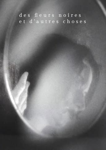 Des fleurs noires et d'autres choses poster