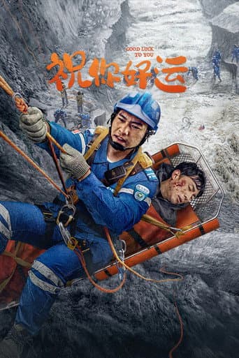 祝你好运 poster