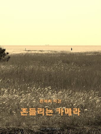wandering camera poster