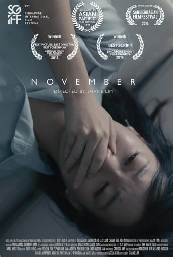 NOVEMBER poster