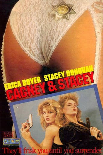 Cagney & Stacey poster