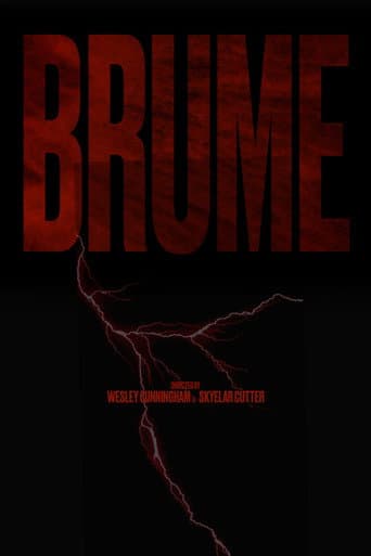 BRUME poster