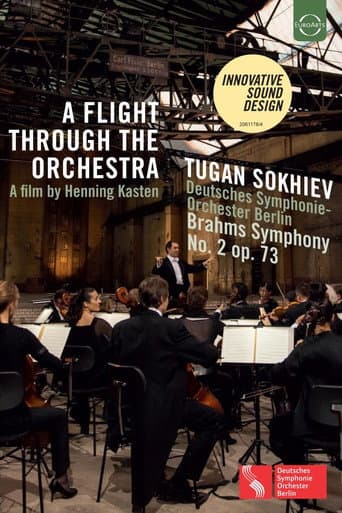 A Flight Through the Orchestra poster
