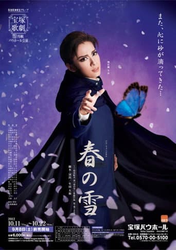 Spring Snow poster