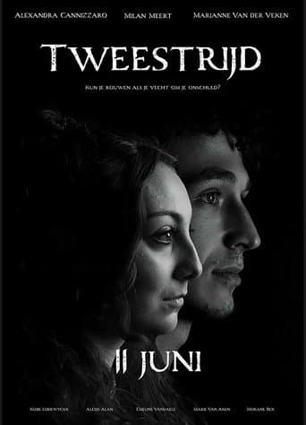 Tweestrijd poster