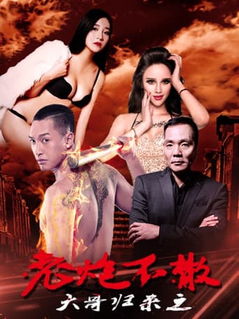 大哥归来之老炮不散 poster