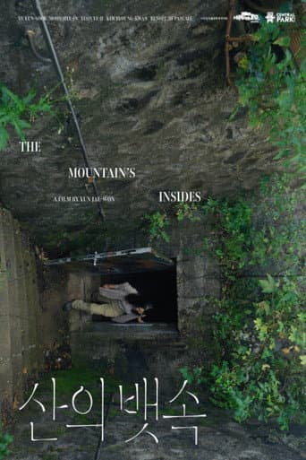 The Mountain’s Insides poster