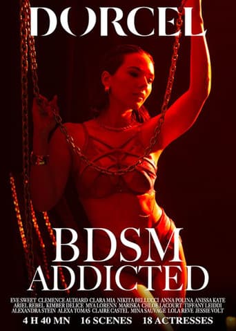 BDSM Addicted poster