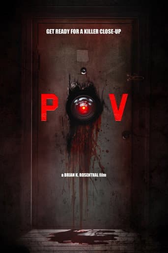 POV poster