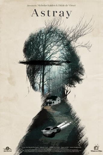 Astray poster