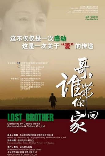 哥哥,谁带你回家 poster