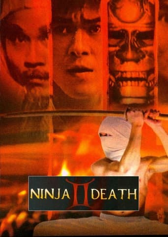Ninja Death 2 poster
