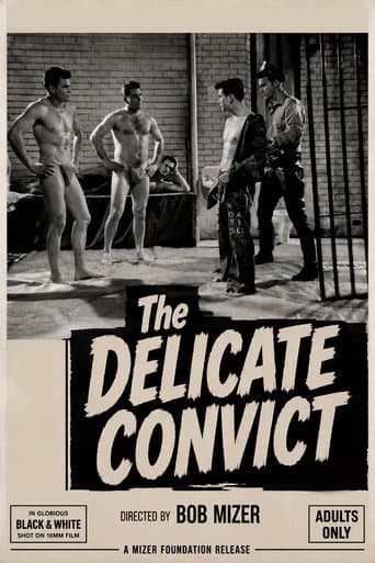 Delicate Convict poster