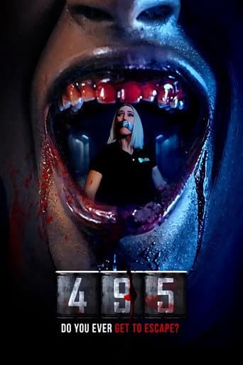 495 poster