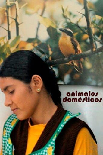 Animales Domésticos poster