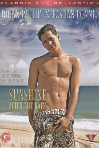 Sunshine After the Rain poster