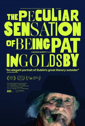 The Peculiar Sensation of Being Pat Ingoldsby poster