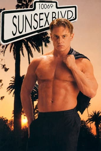 Sunsex Blvd. poster