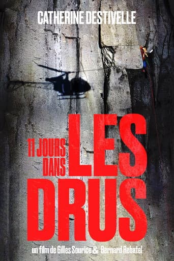 11 Days in the Drus poster
