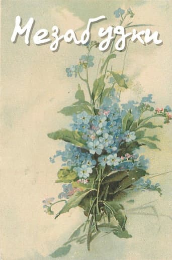 Forget-Me-Nots poster