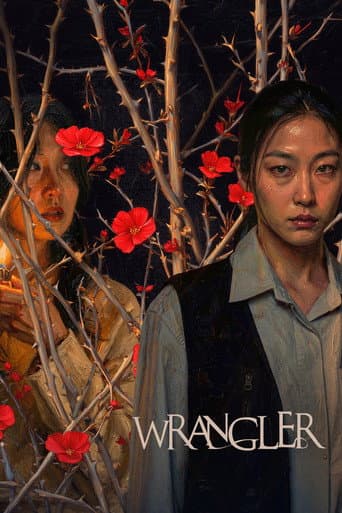 Wrangler poster
