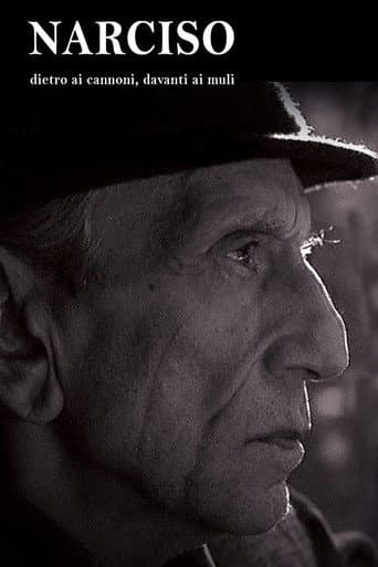 Narciso - Dietro ai cannoni, davanti ai muli poster
