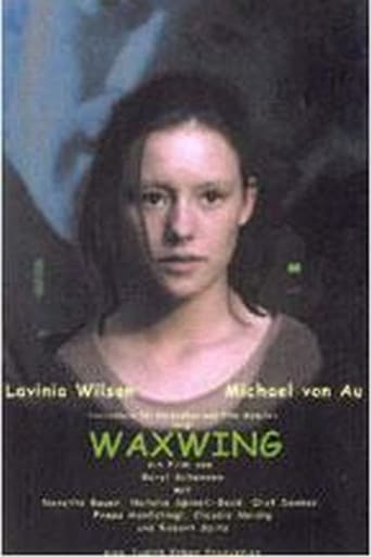 Waxwing poster