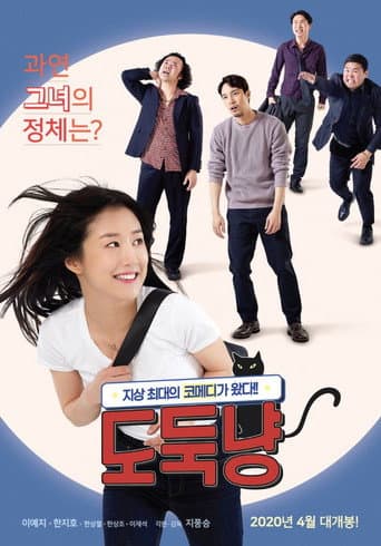 A Stray Cat poster