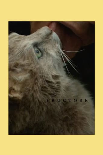Fructose poster