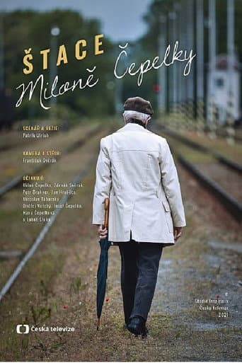 Miloš Čepelka's Steps poster
