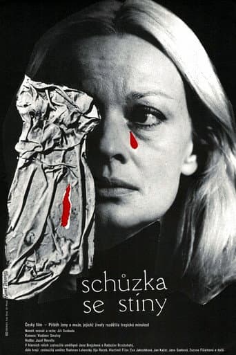 Schůzka se stíny poster